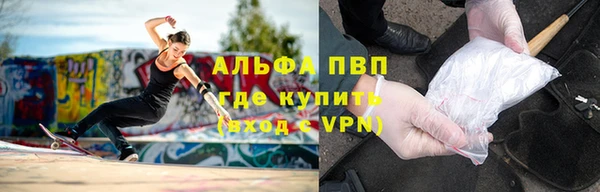 СК Абинск