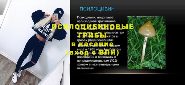 индика Алексеевка